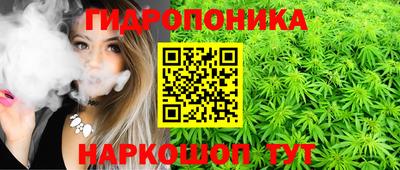PSILOCYBIN Кингисепп