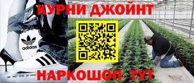 PSILOCYBIN Кингисепп