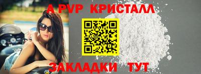 PSILOCYBIN Кингисепп