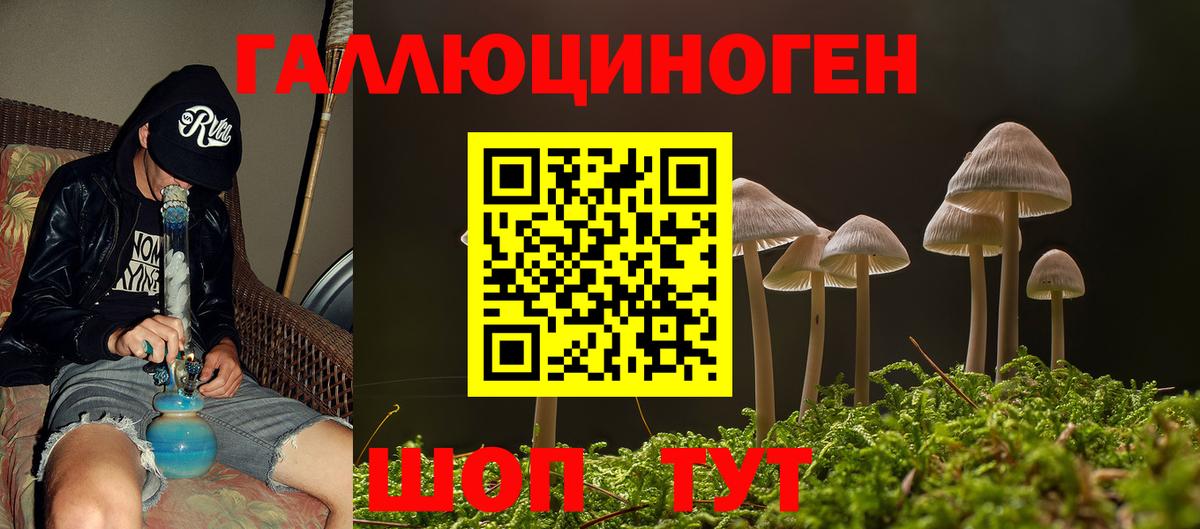 Псилоцибиновые грибы ЛСД Балашов