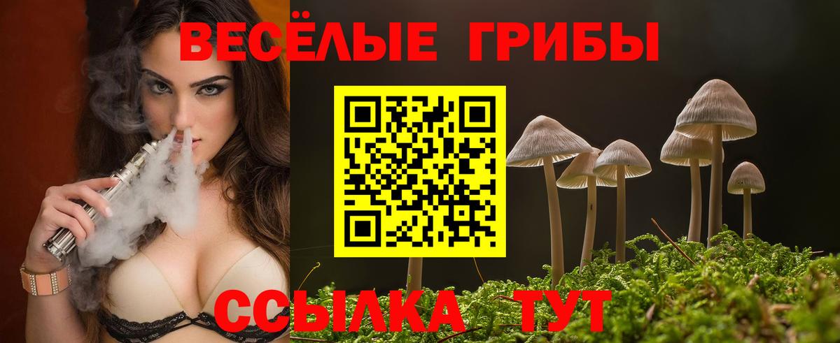 купить  сайты  Вход с VPN  Балашов  Псилоцибиновые грибы Magic Shrooms 